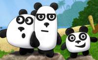 3 Pandas