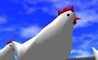 Chicken Torunament