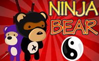 Ninja Bear