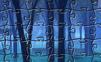 Rainforest Jigsaw