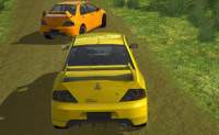 Stunt Rally