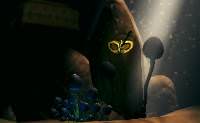 The Mask of Qi