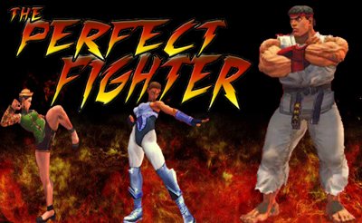 The Perfect Fighter