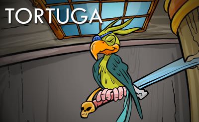 Tortuga 1
