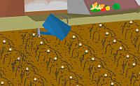 Vegetable Farm